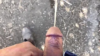 Beauty Twink Box 3