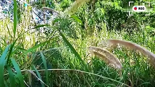 HD Gay Porn Movies 0